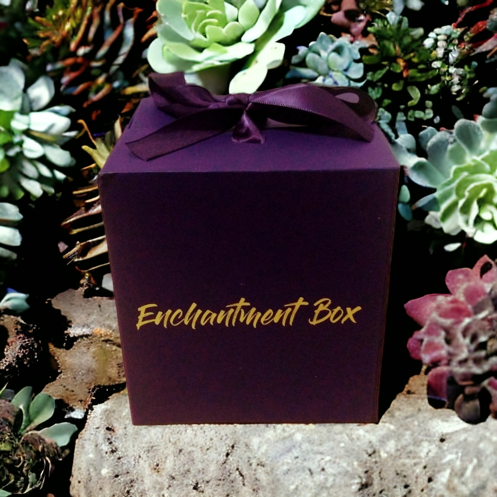 Enchanted Bracelet Necklace and Earring Boxed Jewelry Set